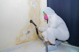 Best Asbestos and Lead Testing During Mold Inspection  in Pleasant Hill, MS